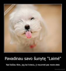 Pavadinau savo šunytę "Laimė" - Kad būčiau tikra, jog kai kviesiu, ji visuomet pas mane ateis