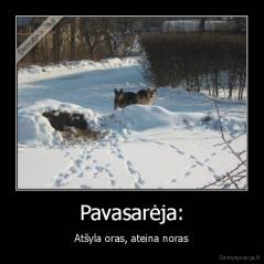 Pavasarėja: - Atšyla oras, ateina noras