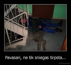 Pavasari, ne tik sniegas tirpsta... - 