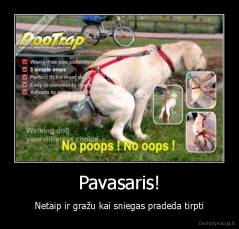 Pavasaris! - Netaip ir gražu kai sniegas pradeda tirpti