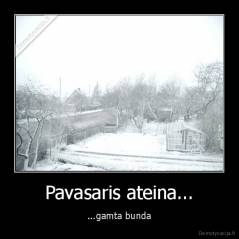 Pavasaris ateina... - ...gamta bunda