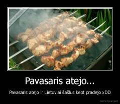 Pavasaris atejo... - Pavasaris atejo ir Lietuviai šašlus kept pradejo xDD
