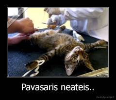 Pavasaris neateis.. - 