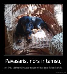 Pavasaris, nors ir tamsu, - bet žinau, kad mano geriausias draugas duodasi kažkur su kažkokia kale.