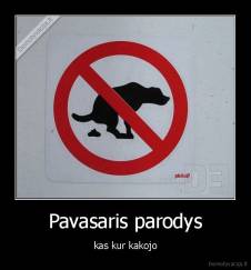 Pavasaris parodys - kas kur kakojo