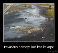 Pavasaris parodys kur kas kakojo! - 