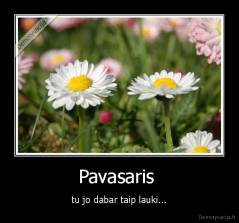 Pavasaris  - tu jo dabar taip lauki...