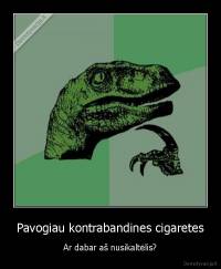 Pavogiau kontrabandines cigaretes - Ar dabar aš nusikaltėlis?