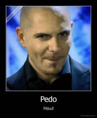 Pedo - Pitbull