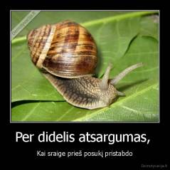 Per didelis atsargumas,  - Kai sraige prieš posukį pristabdo