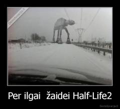 Per ilgai  žaidei Half-Life2 - 