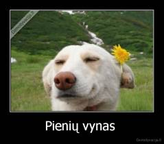 Pienių vynas  - 