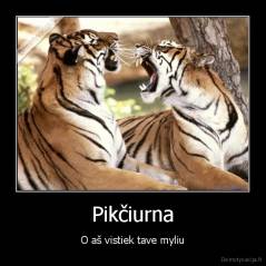 Pikčiurna - O aš vistiek tave myliu