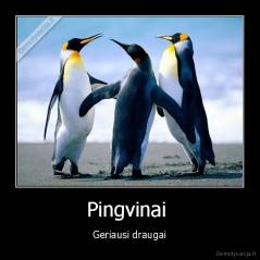 Pingvinai  - Geriausi draugai