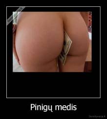 Pinigų medis - 