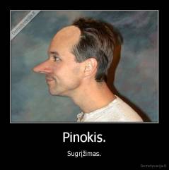 Pinokis. - Sugrįžimas.