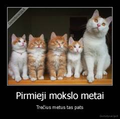 Pirmieji mokslo metai - Trečius metus tas pats