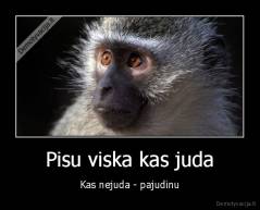 Pisu viska kas juda - Kas nejuda - pajudinu
