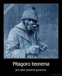 Pitagoro teorema - jam labai pravertė gyvenime