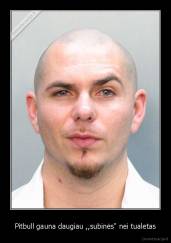 Pitbull gauna daugiau ,,subinės" nei tualetas - 
