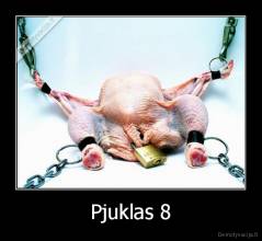 Pjuklas 8 - 