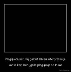 Plagijuota-lietuvių galbūt labiau interpretacija - kad ir kaip būtų gaila plagijuoja ne Puma