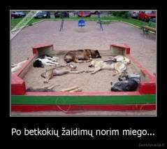Po betkokių žaidimų norim miego... - 