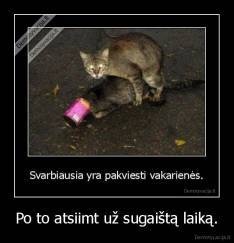 Po to atsiimt už sugaištą laiką. - 