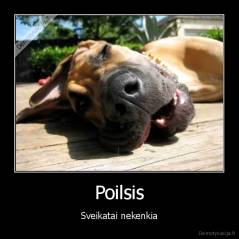 Poilsis - Sveikatai nekenkia