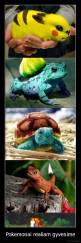 Pokemonai realiam gyvenime - 