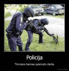 Policija - Tikrosios baimes pasimato darbe
