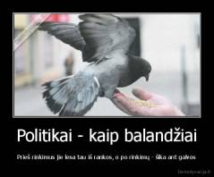 Politikai - kaip balandžiai - Prieš rinkimus jie lesa tau iš rankos, o po rinkimų - šika ant galvos