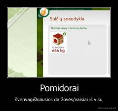 Pomidorai - švenvagiškiausios daržovės/vaisiai iš visų
