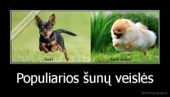 Populiarios šunų veislės - 