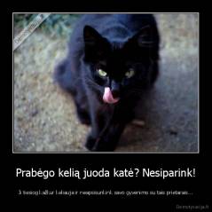 Prabėgo kelią juoda katė? Nesiparink! - Ji tiesiog kažkur keliauja ir neapsisunkink savo gyvenimo su tais prietarais...