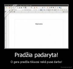 Pradžia padaryta! - O gera pradžia tikiuosi reikš pusė darbo!