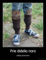 Prie didelio noro - viskas įmanoma