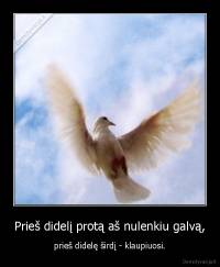 Prieš didelį protą aš nulenkiu galvą, - prieš didelę širdį - klaupiuosi.