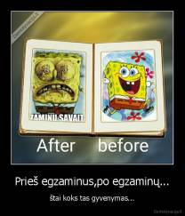 Prieš egzaminus,po egzaminų... - štai koks tas gyvenymas...