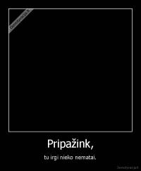 Pripažink, - tu irgi nieko nematai.