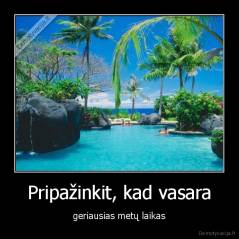Pripažinkit, kad vasara - geriausias metų laikas