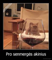 Pro senmergės akinius - 