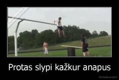 Protas slypi kažkur anapus - 