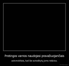 Protingos varnos naudojasi pravažiuojančiais - automobiliais, kad šie sutraiškytų joms riešutus.