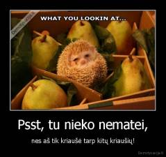 Psst, tu nieko nematei, - nes aš tik kriaušė tarp kitų kriaušių!