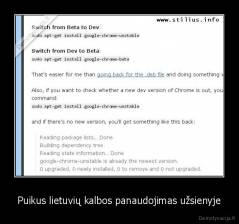 Puikus lietuvių kalbos panaudojimas užsienyje - 