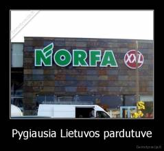 Pygiausia Lietuvos pardutuve - 