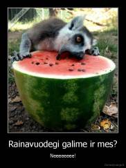 Rainavuodegi galime ir mes? - Neeeeeeee!