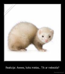 Reakcija: Awww, koks mielas.. Tik ar nebezda? - 