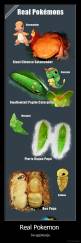 Real Pokemon  - Jie egzistuoja